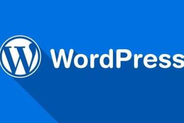 WordPress 程序更新方法，防止 WP 官网 429 导致更新失败