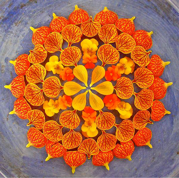 曼陀罗花卉拼出五颜六色的图案，太美了
