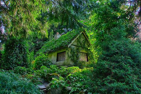 世外桃源，14 座充满魔幻色彩的森林小屋