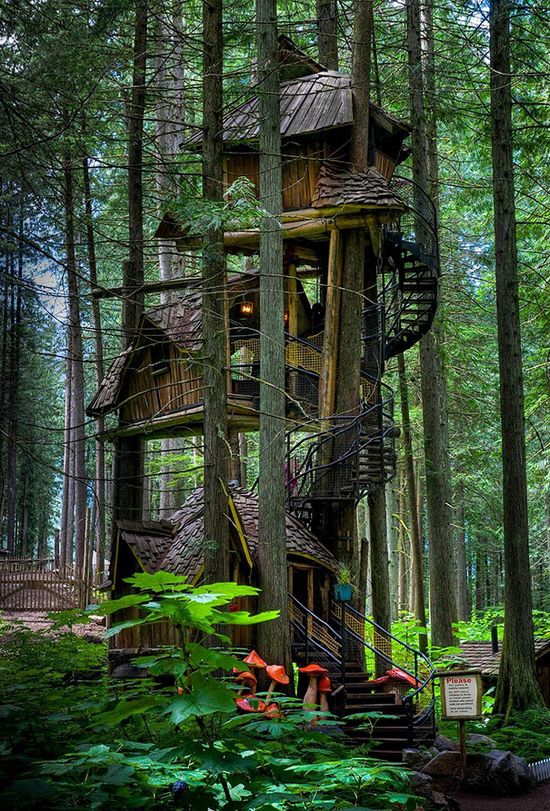 世外桃源，14 座充满魔幻色彩的森林小屋